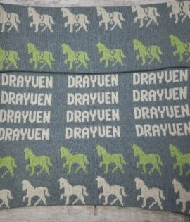 HORSE BLANKET WITH MANY NAMES