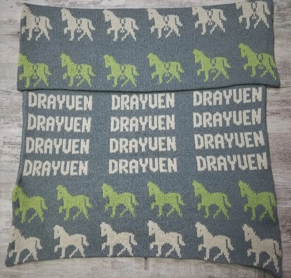 HORSE BLANKET WITH MANY NAMES