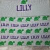 NAME WITH TURTLE BLANKET
