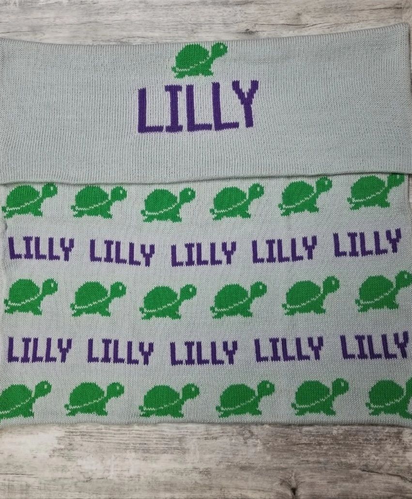 NAME WITH TURTLE BLANKET